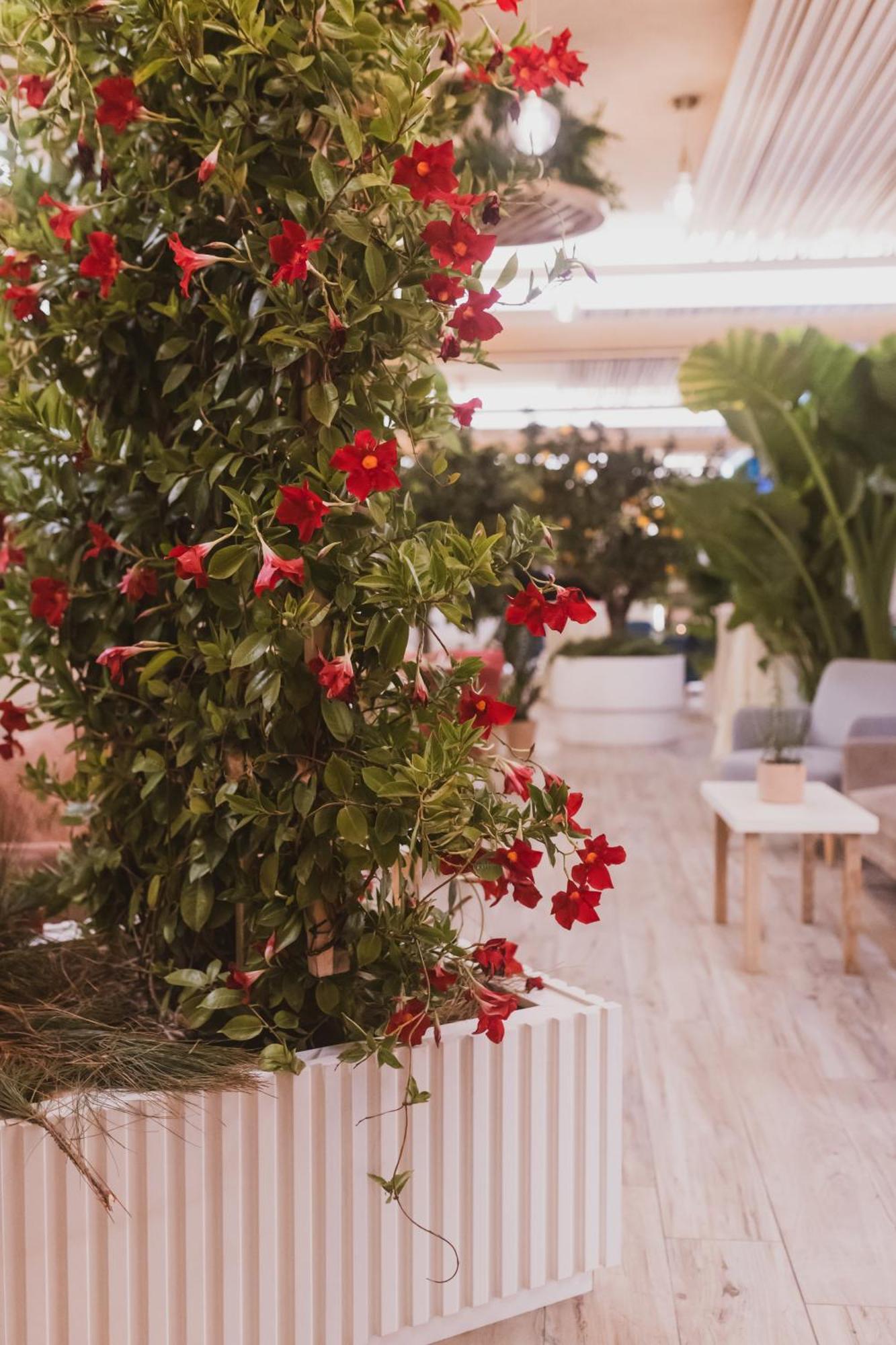 Sentido Michelizia Tropea Resort エクステリア 写真